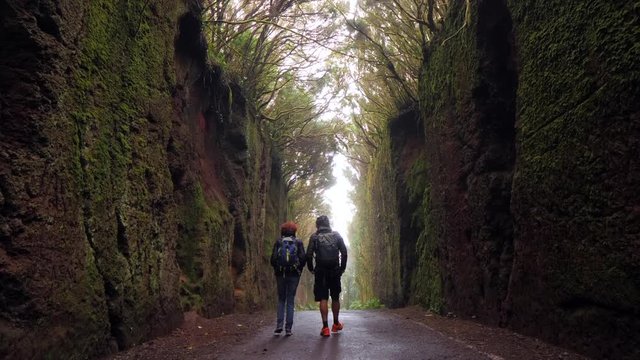 Static shot of two hikers walking on a very narrow old road that was built in the laurisilva woods (Rainforest). Pico del Inglés, Anaga (Tenerife). HD cropped edit