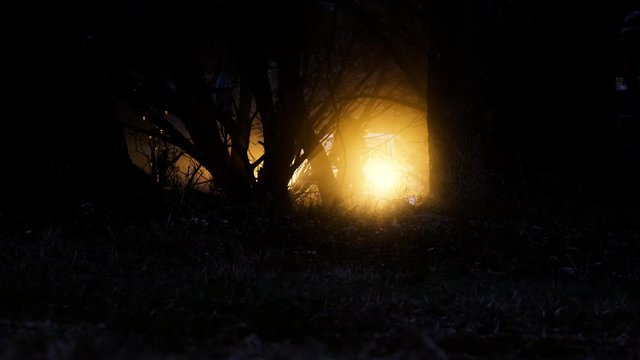 Silhouette of a woman walking through the dark woods at night, emerging from an eery glow of light behind her, 23.98 fps.