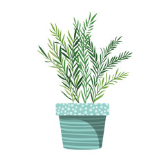 houseplant with potted isolated icon