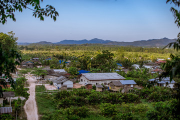 The background of deciduous trees has a variety of branches, waiting for a new break on the high mountains, a natural beauty seen during an adventurous journey.