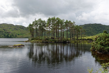 Schottland - Inverpolly-Naturreservat - Glen Canisp