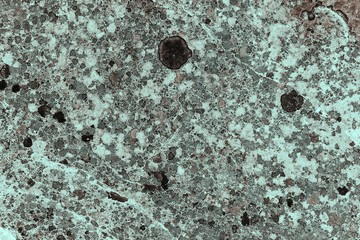 Vintage cyan background. Rough painted wall of hazel color. Imperfect plane of brown colored. Uneven old decorative toned backdrop of blue tint. Texture of azure hue. Ornamental stony surface.