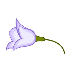 Isolated beautiful flower image. Vector illustration design