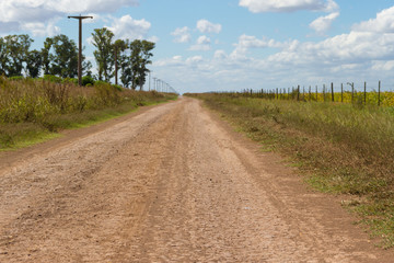 concept of distance with field road in the plain