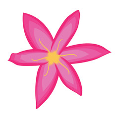 Isolated beautiful flower image. Vector illustration design