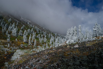 Autumn in the upper reaches of river in mountains Eastern Sayan