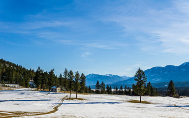 beautiful early spring view of the canadian alpine meadow with blue sky.