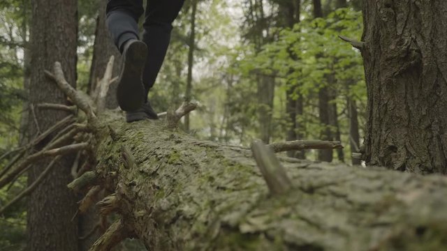 A person balancing across a log in the forest in slow motion