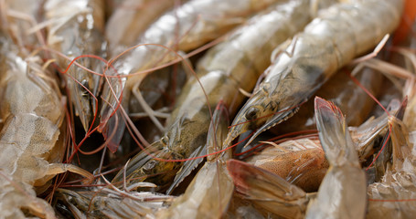 Stack of fresh shrimp