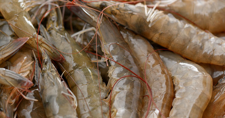 Fresh raw shrimp