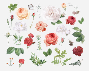 Floral design background - obrazy, fototapety, plakaty