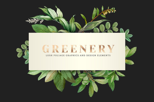 Greenery wallpaper