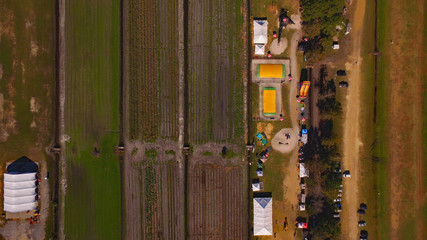 Farm Field