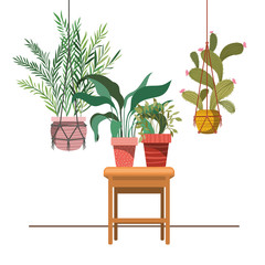houseplants on macrame hangers and table