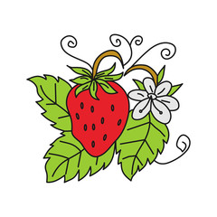 Strawberry Fruit Design Template Vector