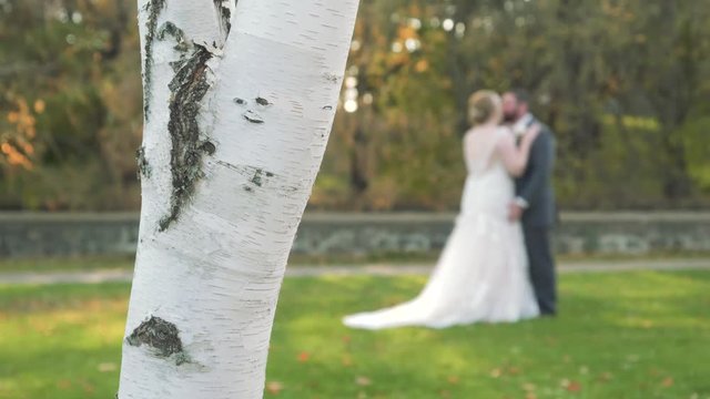 Young Newlyweds Kiss In Blurred Background Behind White Tree, Bokeh