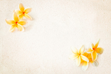 sand beach floral background with frangipani flowers 