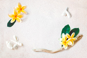 Fototapeta na wymiar yellow frangipani flowers on the beach with drift wood and shells