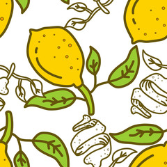 Lemon Fruit Pattern Seamless Vector Template