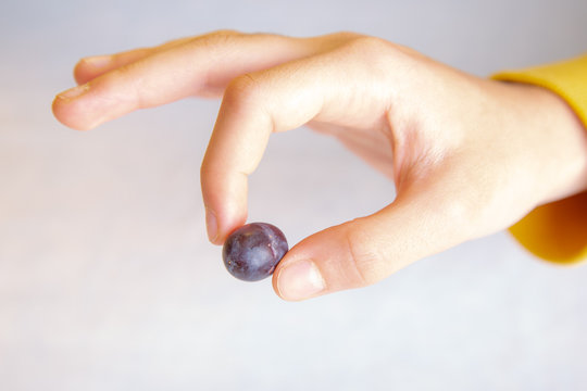 One Black Grape in Hand white background