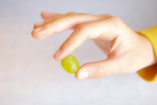 One green Grape in hand white background