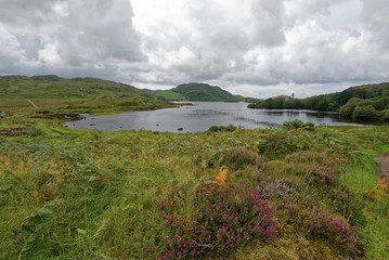 Schottland - Inverpolly-Naturreservat - Glen Canisp