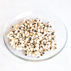 white beans in a bowl