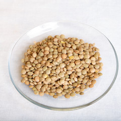 Green lentils in a bowl isolated on white background