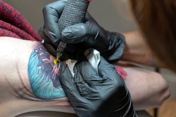 Tattoo master makes a client a colorful tattoo