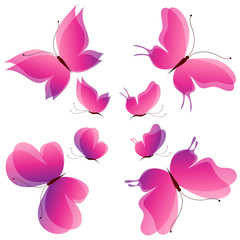 beautiful pink butterflies, isolated  on a white