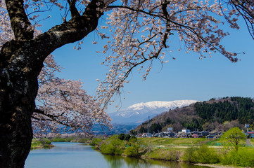一目千本桜と残雪の蔵王山