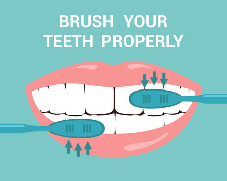 Brush your Teeth Properly Flat Vector Illustration