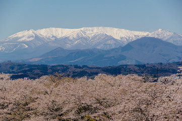 一目千本桜と残雪の蔵王山