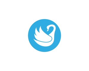Fototapeta premium Swan logo Template vector