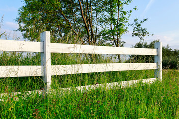 White wooden country fence on the wild meadow.