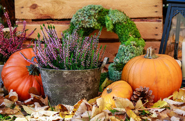 Autumn decorations with pumpkins and heather (erica).