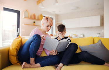 Obraz premium A young woman with a son indoors at home, reading a book.