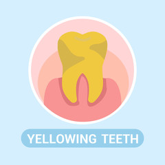 Dentistry, Stomatology Social Media Banner Concept