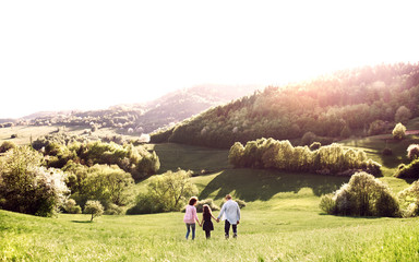 Rear view of senior couple with granddaughter on a walk outside in spring nature.