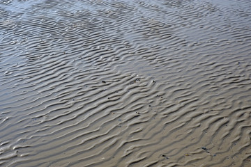 Sandwellen am Meeresboden