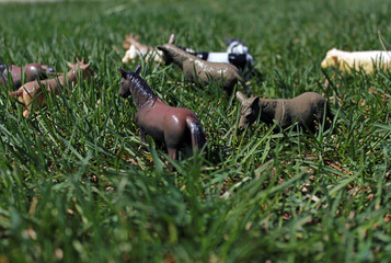 Fototapeta premium toy cows, sheep, horses, on the green grass in the bright sun