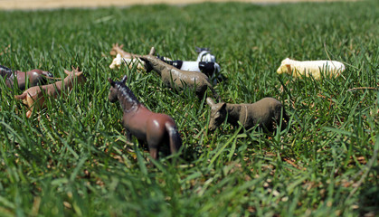 toy cows, sheep, horses, on the green grass in the bright sun