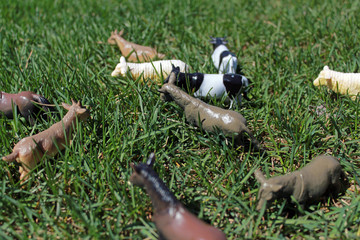 toy cows, sheep, horses, on the green grass in the bright sun