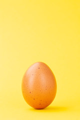 brown egg upright on yellow background