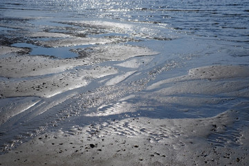 Ebbe im Warttenmeer