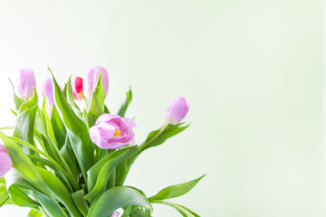Bouquet of beautiful tulips