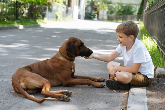 Happy kid with dog?sitting on street