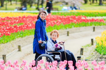 車椅子の高齢女性と介護をする女性