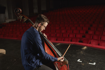 Musician playing Double bass on stage