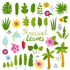 Vector set of tropical leaves and flowers